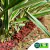 Kit - 4 Pacotes Casca de Borracha Reciclada - 500gr (2kg) - LGF - Recicla
