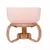 Aparelho de Fondue Aspen Rosa 350ml - Duas pessoas na internet