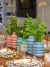 Vasos de Vidro Gomos Coline Decor