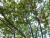 nikon coolpix s2600 preta