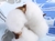 Kit com 4 Cuecas Patrulha Canina Boxer na internet