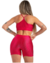 TOP AMARILIS VERMELHO na internet
