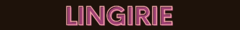 Banner da categoria Lingirie 