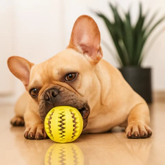 Bola Mordedor Petisqueira Para Cães – Diversão Com Recompensas Saborosas - comprar online