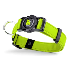 Coleira MemoPet MyFamily Verde Com Tecnologia NFC – Segurança Inteligente Sempre Ao Lado Do Seu Pet! - comprar online