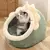 Cama House Aconchegante Para Gatos – Design Envolvente e Acolhedor - LatiMiado Pet Shop: Mais que uma loja, um verdadeiro amigo dos pets!