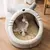Cama House Aconchegante Para Gatos – Design Envolvente e Acolhedor na internet