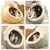 Cama House Aconchegante Para Gatos – Design Envolvente e Acolhedor - loja online