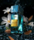 GRITTI P.GRITTI SIRACUSA EDP 100ML na internet