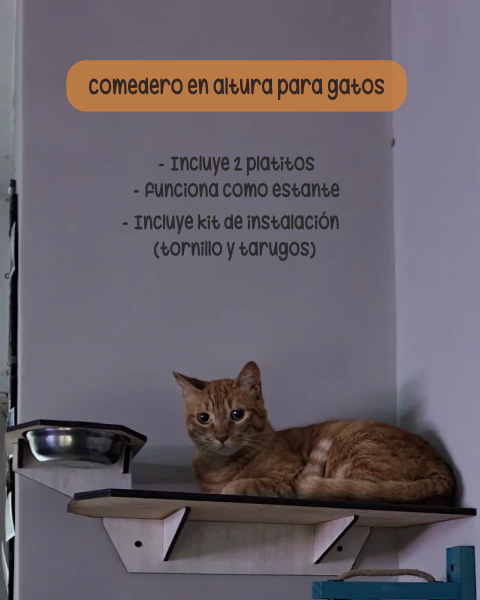 Par de esquineros + comedero en altura - comprar online