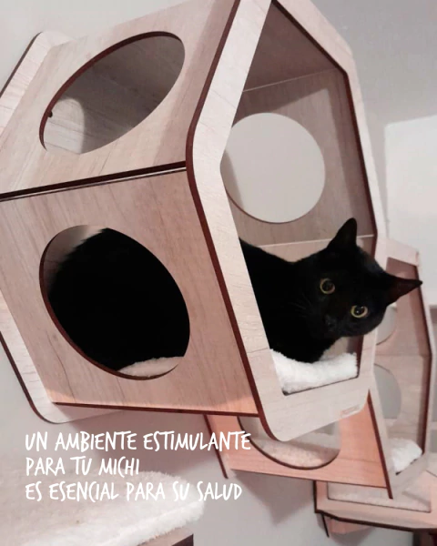 Hexágono XL + L + 2 Escalones
