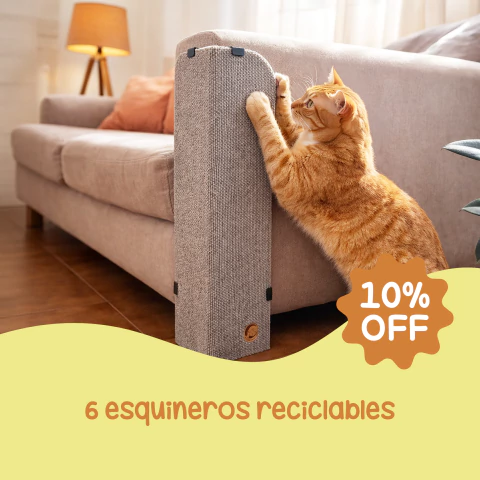 Par Esquinero Reciclable + Pack de 4