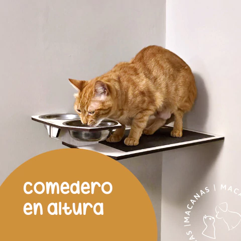 Comedero en altura
