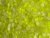Cristal Premium Colores SS20 Hotfix en internet