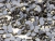 Cristal Premium Colores SS20 Hotfix - AV Rítmica