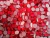 Cristal Premium Colores SS20 Hotfix - tienda online