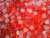 Cristal Premium Colores SS20 Hotfix