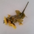 Buque de flor 