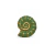 Entremeio concha espiral dourado com aplicação de resina verde oliva visto de frente.
