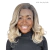 Lace Front Dani Ondulada - Beauty Hair - comprar online