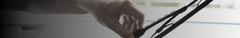 Banner da categoria Palheta / Limpador