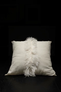 ALMOHADON PLUMAS AVESTRUZ en internet