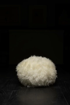 ALMOHADON PIEL DE OVEJA en internet