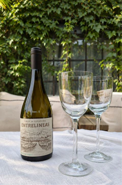 VINO VIOGNIER ENTRELINEAS