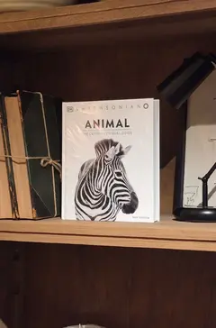 LIBRO DECORATIVO ANIMAL