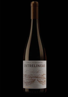 VINO SYRAH ENTRELINEAS - comprar online