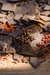 Blend de Especiarias Hau - loja online