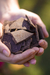Hau Cacau 100% — 850g Puro, Agroflorestal, Artesanal e Ancestral - loja online