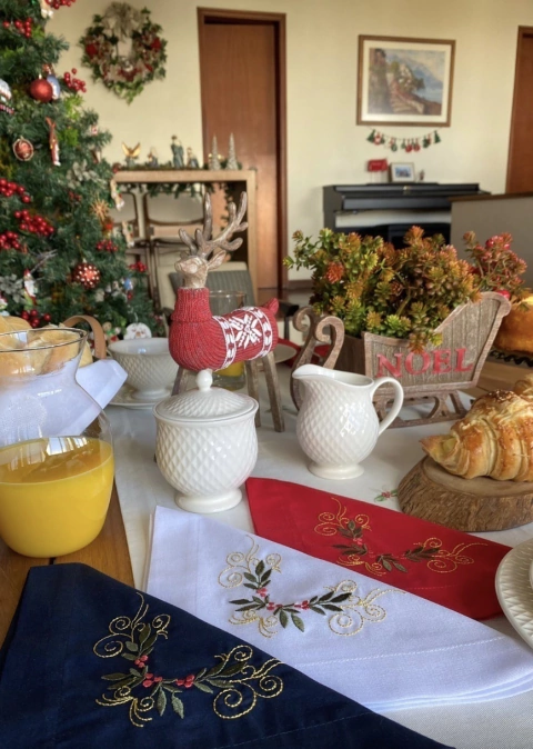 Guardanapo Azevinho Bordado Azul