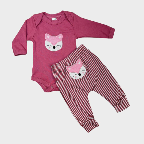Conjunto Raposa Manga Longa Algodão - comprar online