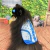 10un Traje Fantasia Pet Dia dos Pais para pets personalizada - loja online