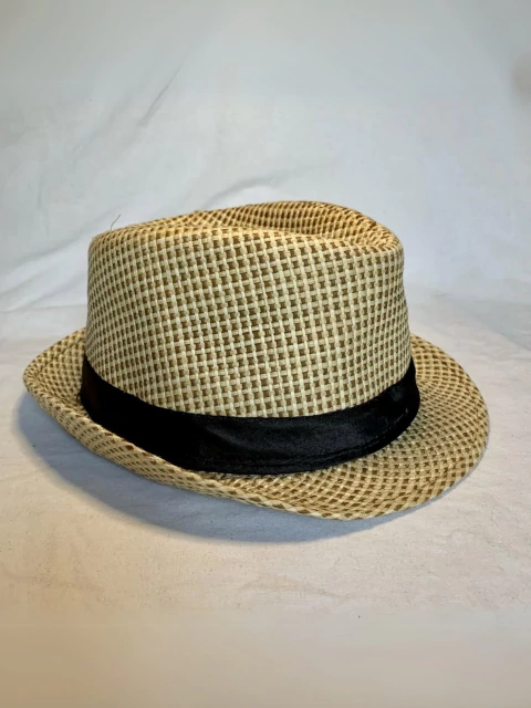 Chapéu Panamá