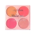 Paleta Make Me Blush C/24 - City Girls (CG347) na internet