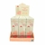 Blush Stick 3 em 1 Cores do 04 ao 06 C/18 - Miss Lary (ML-393B)