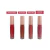 Kit Batom Líquido Perfect Lips C/12 - Ruby Rose (HB-L6200-G2) - comprar online