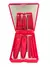 Estojo Com 5 mini Pinceis Pink C/12 - Bela Manuela (QBM806-1) - comprar online