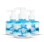 Kit Gel Aromatizante Menta Para Virilha C/6 - Phállebeauty (PH0882) - comprar online