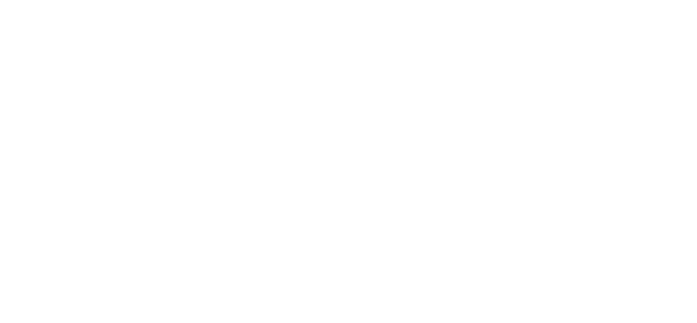 Lavii Parfum