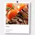 Perfume Carol: EDP 20% - comprar online