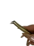 PINZA NAGARAKU AG 09 en internet