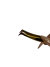 PINZA NAGARAKU N 04 (NUEVA) en internet