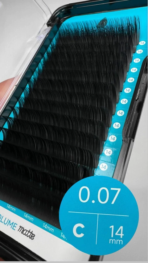 ZAPHIRIA MATTE 007 C - comprar online