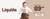 Banner rotativo 2