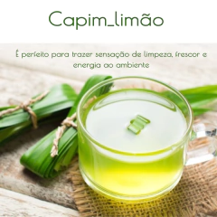 Vela Aromática Capim Limão 100g - Melt the Candle