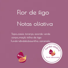 Vela Aromática Flor de Figo 200g - comprar online