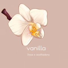 Difusor de Aromas Vanilla Cream - loja online